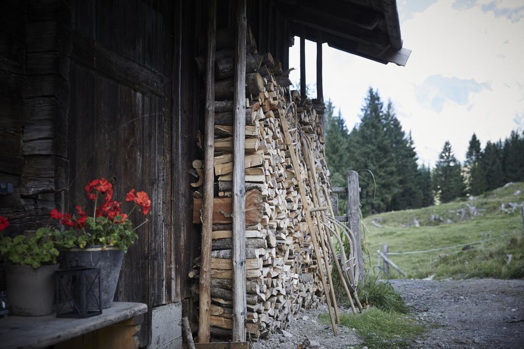 Vila Auhaeuslalm Maria Alm am Steinernen Meer Pokoj fotografie