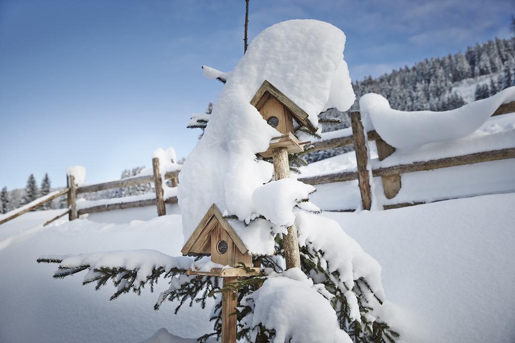 Vila Auhaeuslalm Maria Alm am Steinernen Meer Exteriér fotografie