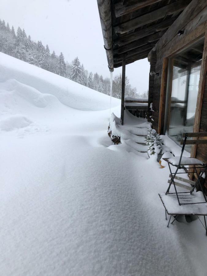 Vila Auhaeuslalm Maria Alm am Steinernen Meer Exteriér fotografie